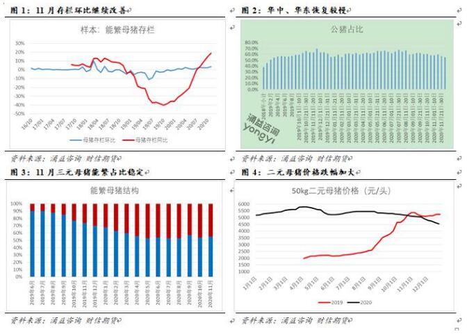 生猪：商品猪存栏略改善 终端消费有望加速恢复