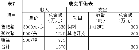 全场年收支平衡表