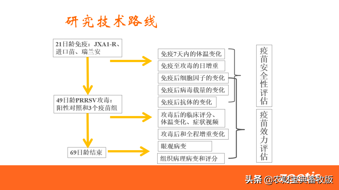 黄毓茂：蓝耳与非瘟混合感染后，不推荐使用所谓的“非瘟基因缺失疫苗”
