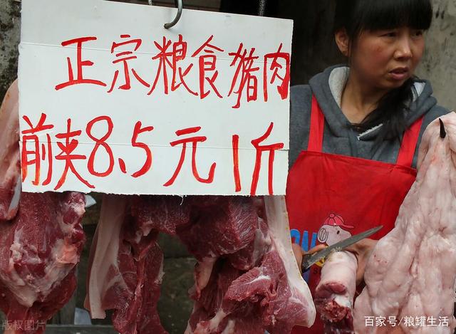 猪肉收购价