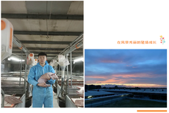 回顾2020丨扬翔的“变”与“不变”