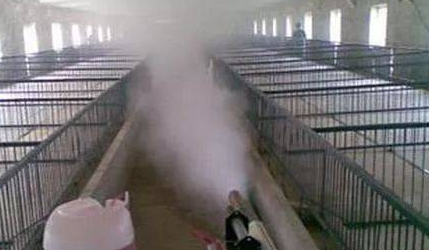 做好养殖场内部生物安全，把关好进猪舍门的第一脚！