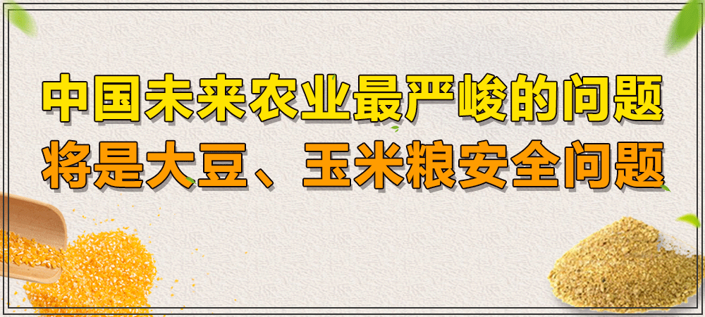 2030年我国大豆需求近1.2亿吨，进口量1亿吨，粮食安全是未来中国农业最严峻的问题