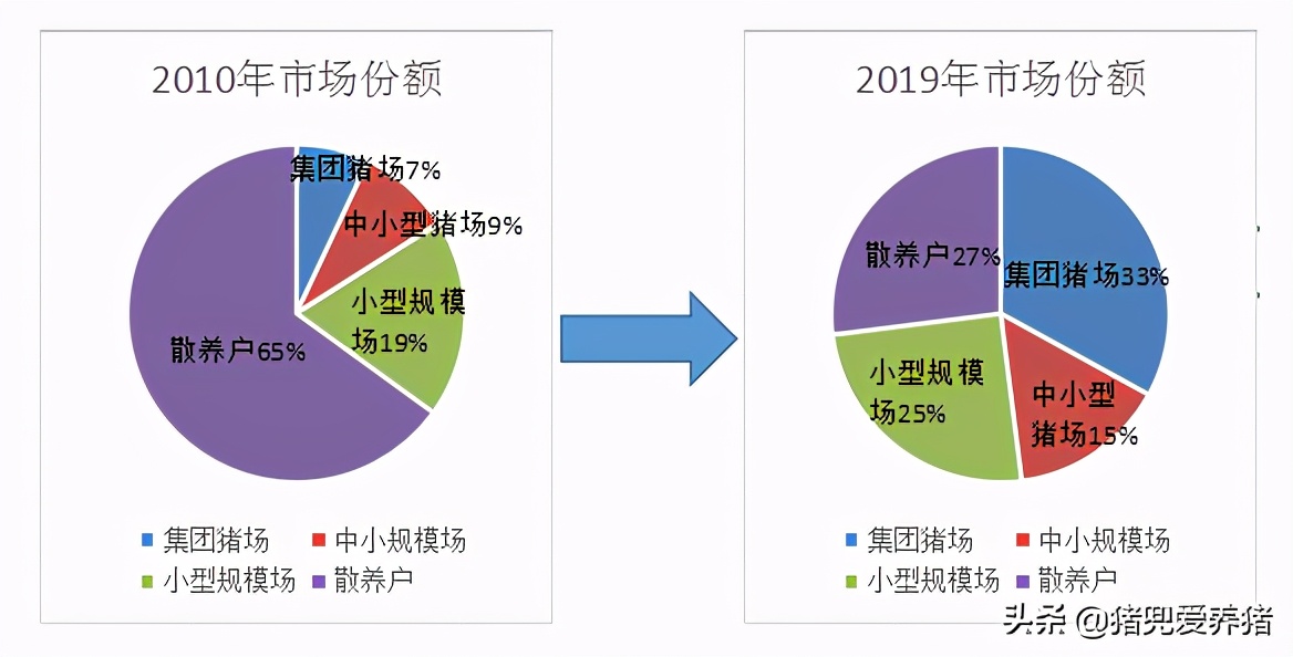 牧原、温氏、新希望等头部企业所占市场份额