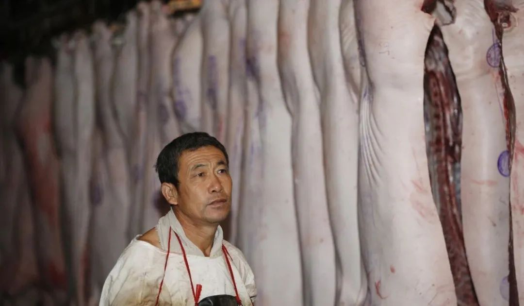 1月6日生猪价格涨势放缓，这波猪价涨到头了？2个坏消息来袭