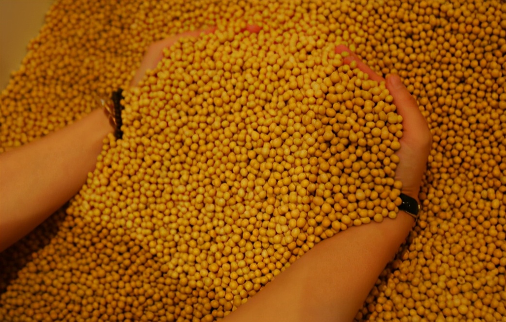 冲冲冲！1月7日饲料原料，开年第一轮涨价潮，玉米豆粕涨不停