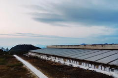防非妙招多！各地构筑生物安全“铜墙铁壁”