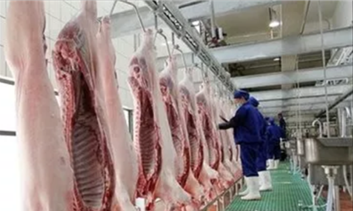 近期猪价为何暴涨？猪价越调控反而越高?四大原因值得深思！