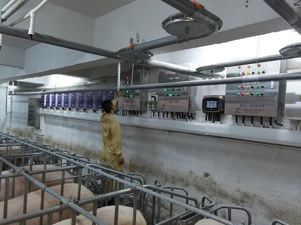海南儋州：生猪养殖产业突飞猛进 推动农业供给侧改革