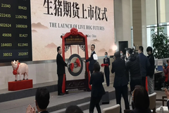生猪期货初登场！德康集团斩获三项第一！