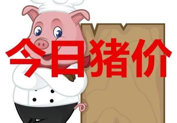 1月9日生猪价格“一片绿”！31省市全面下跌，猪价泡沫要破裂了？