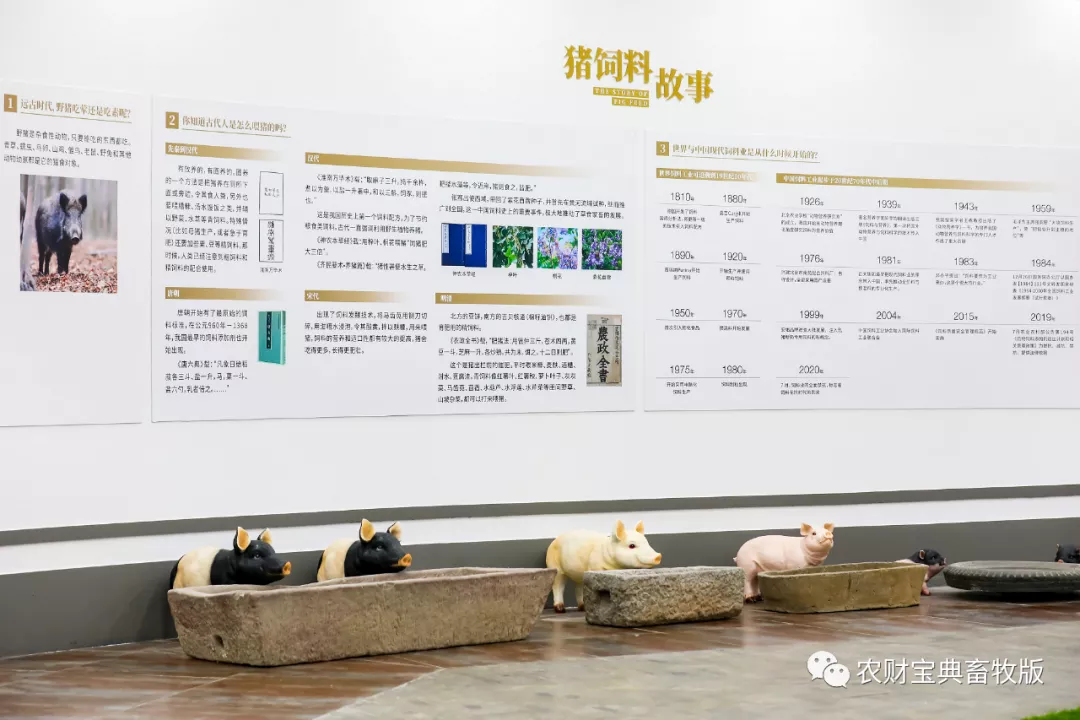 安佑猪文化博物馆全球VR发布会