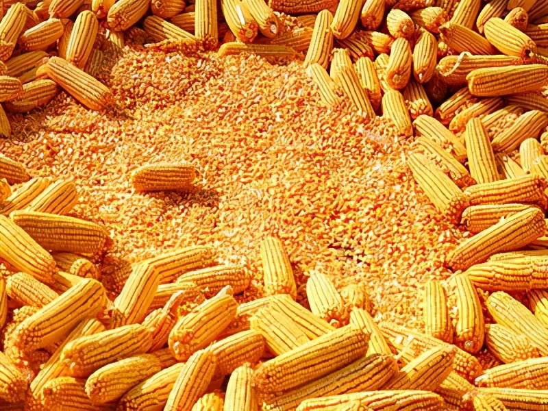 1.14饲料原料价格，玉米没握在市场手中，豆粕“恐慌”大涨？