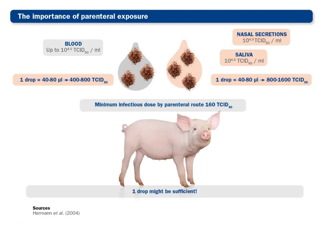 养猪生产的原则“一猪一针头”，针头能传播疾病？有科学依据？