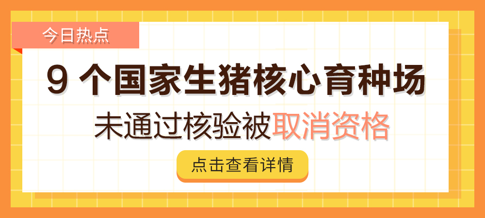 13家取消资格！9家国家生猪核心育种场未通过核验被取消资格