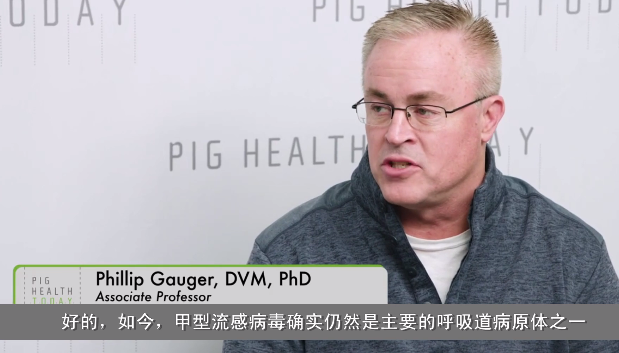 猪病挑战：遗传多样性使猪流感成为挑战，该病毒特别容易在猪之间传播