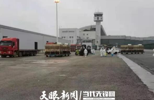 贵州：生猪产业素质有提升 规模建设有成效