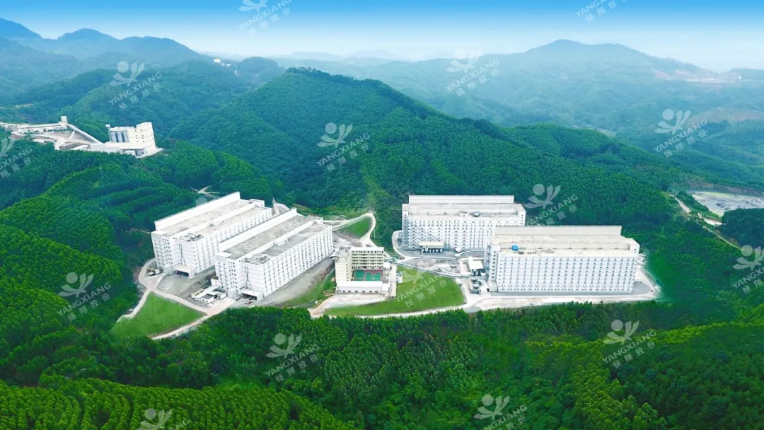 给力！扬翔智能楼房猪场获评国家级生猪养殖标准化示范场