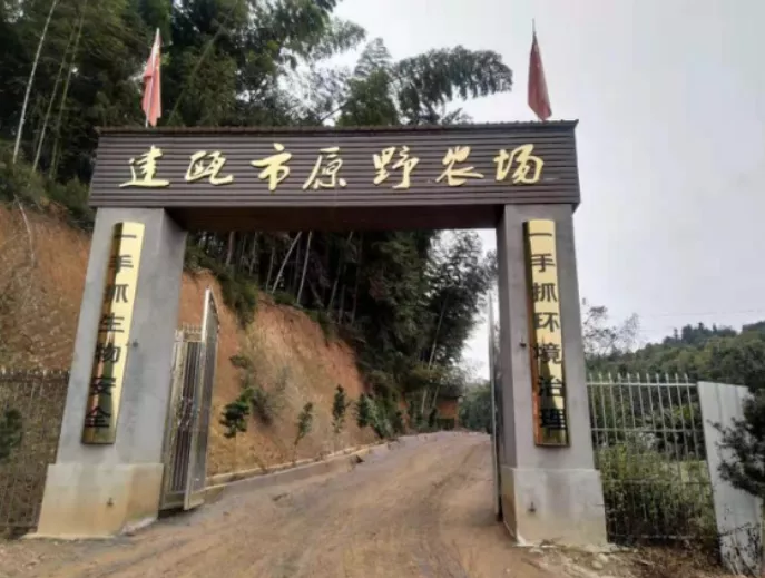 十佳标杆示范场： 福建原野猪场：正邦技术团队让猪场PSY稳定在29！