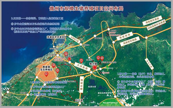 儋州市规模生猪养殖项目空间布局图