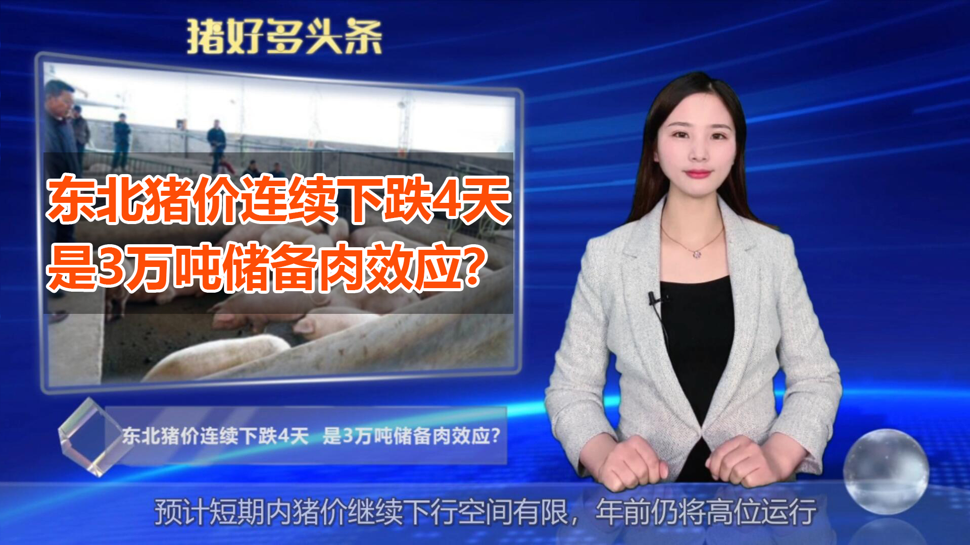 东北猪价连续下跌4天，是3万吨储备肉效应？不得不“顺势而为”