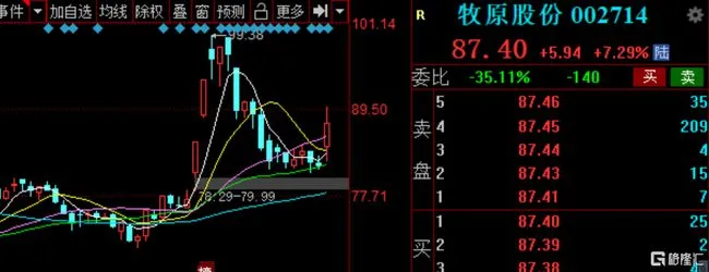 牧原股份逆市大涨，一路触及涨停，截止收盘暴涨7.29%