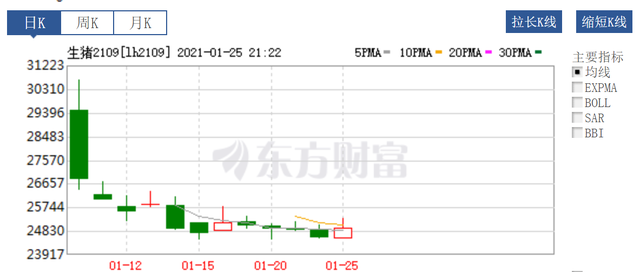 生猪期货主力合约LH2109自上市后价格不断下跌