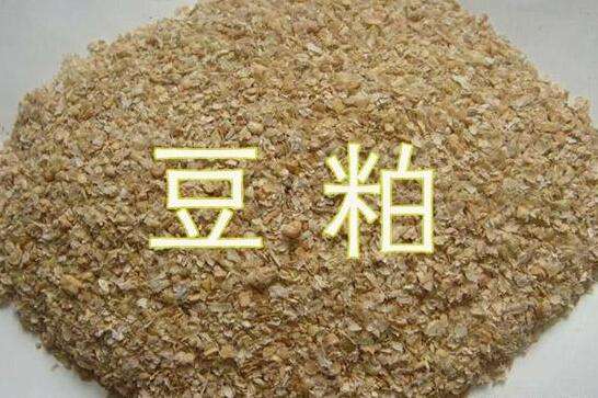 2021/22年度中国大豆进口可能超过1.1亿吨，创下历史最高纪录！