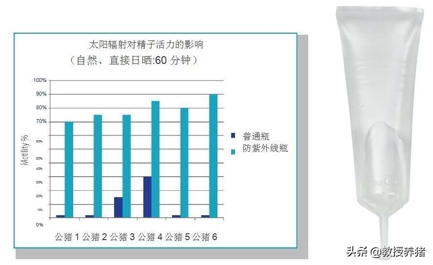 种源猪企的生物安全：100分是起步分！