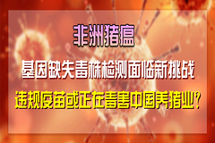 非洲猪瘟基因缺失毒株检测面临新挑战，违规疫苗或正在毒害中国养猪业？