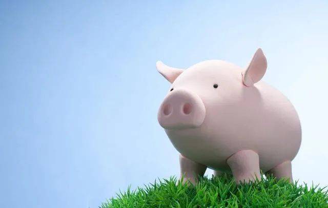 1月29日20公斤仔猪价格，猪价“跌势汹汹”，仔猪行情危险？