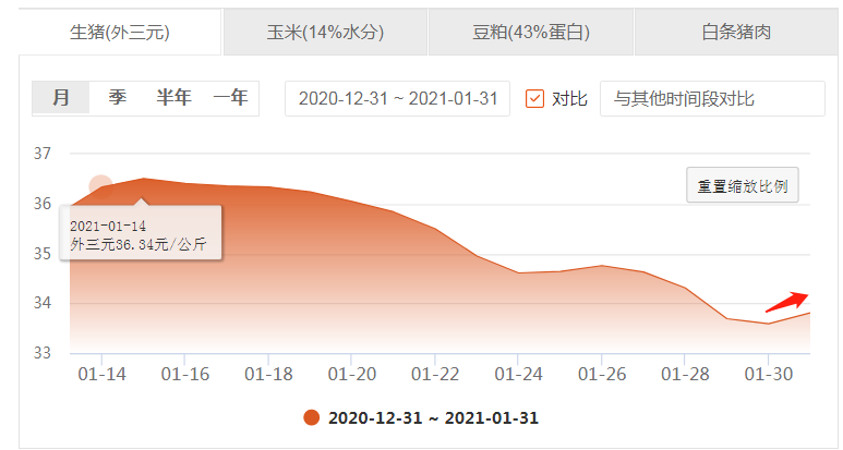 1.31猪价，就地过年让猪肉春节刚需性弱化，猪价会涨空间有限