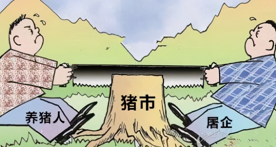 2月1日生猪价格，春节将至，养殖户“抱团挺价”，猪价还得涨？