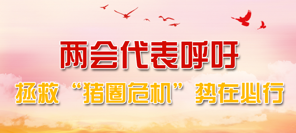 两会代表呼吁：拯救“猪圈危机”！势在必行！