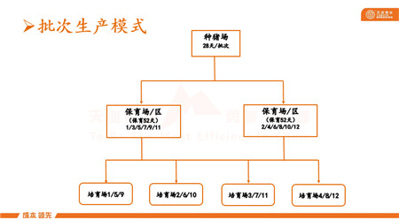 一篇不看会会后悔的猪场建设与管理干货