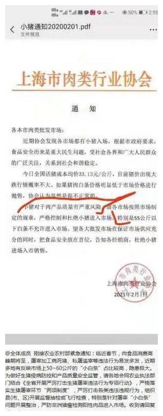 2月5日15公斤仔猪价格，小猪禁止入市，现在春节养好猪最重要