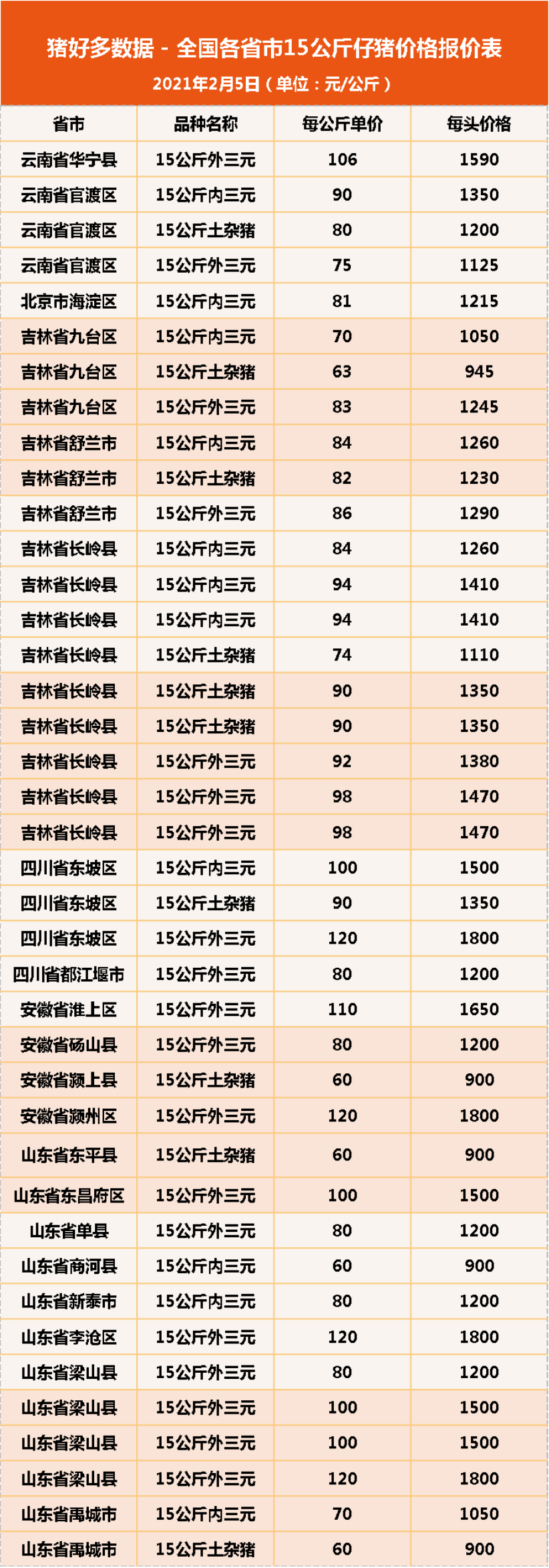 2月5日15公斤仔猪价格，小猪禁止入市，现在春节养好猪最重要