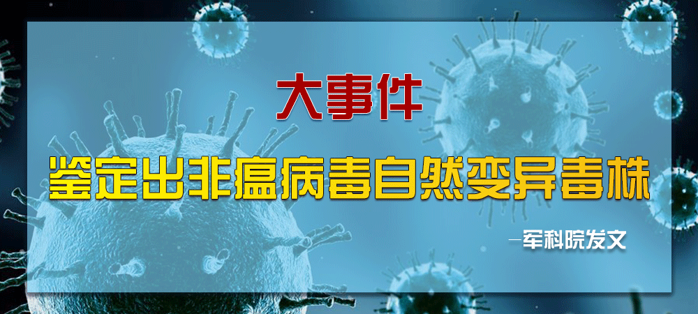 大事件！军科院发文：鉴定出非洲猪瘟病毒自然变异毒株