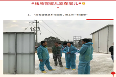 扬翔股份丨“今年不回家过年了 ，这里挺好”
