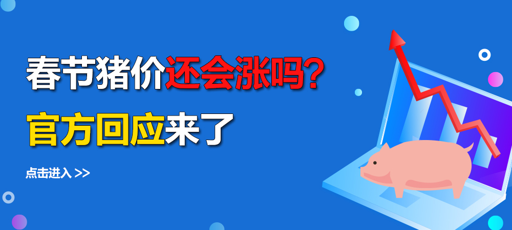 春节猪价还会涨吗？官方回应来了！
