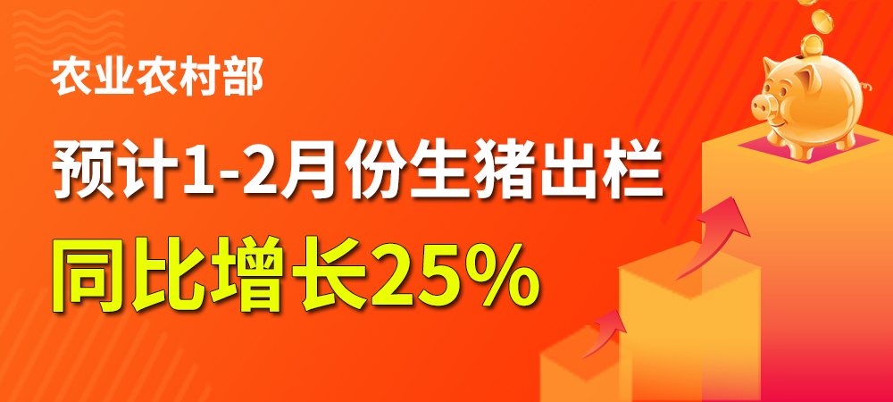 农业农村部：预计1-2月份生猪出栏同比增长25%！