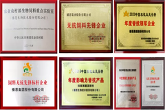 播恩三年，我和生物饲料的邂逅