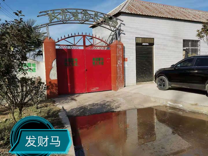 新疆再现非瘟疫情，为何这家伙总能春风吹又生？是天灾还是人祸？