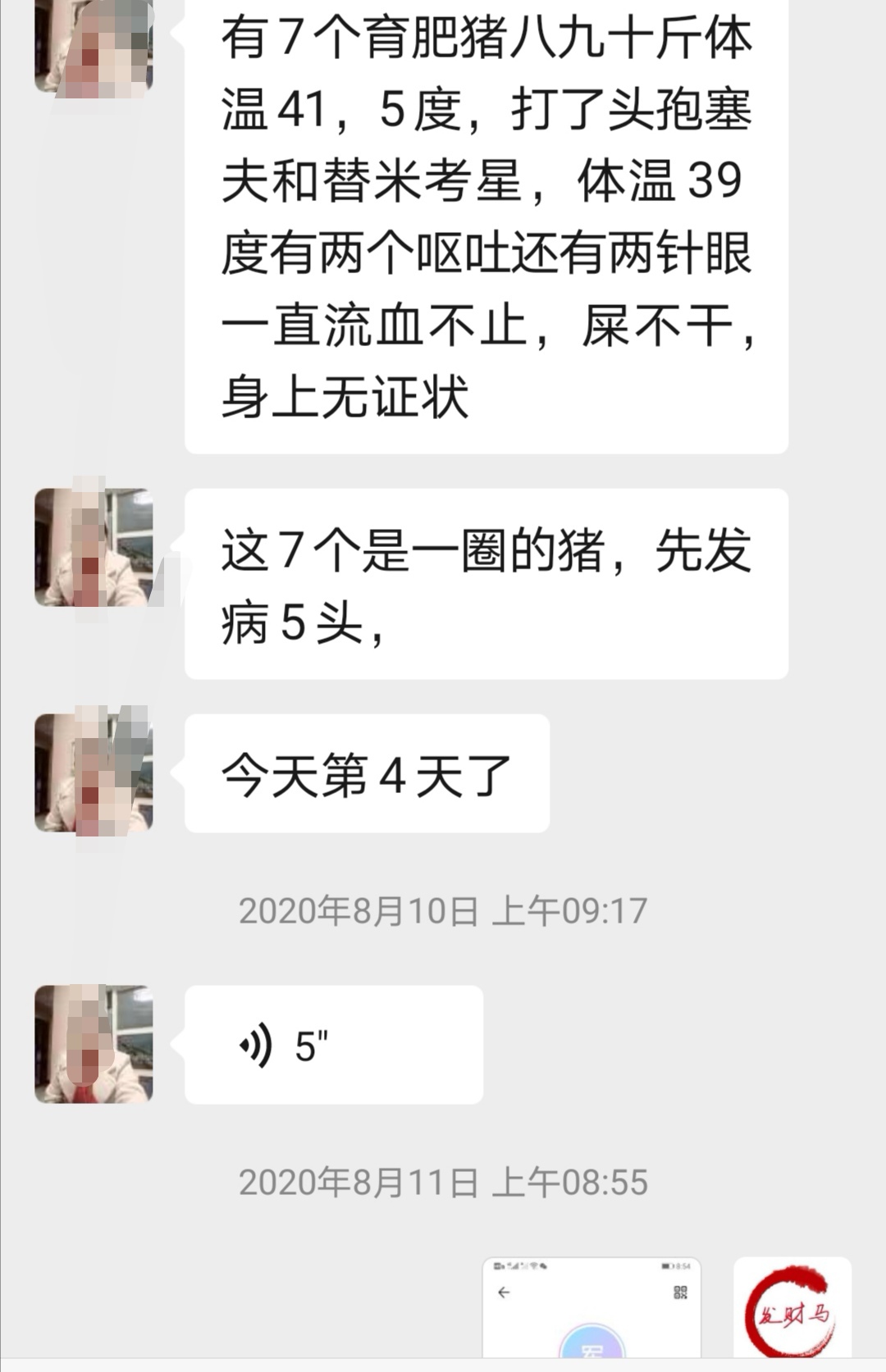 新疆再现非瘟疫情，为何这家伙总能春风吹又生？是天灾还是人祸？