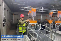 德康工程 | 建设不停 拼出牛劲 让猪住上楼！  