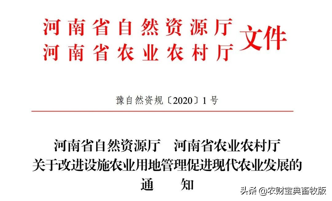 一些猪场踩雷已经没猪了！非瘟防控十大陷阱/误区，你都知道吗？‖礼蓝特约•猪业痛点​