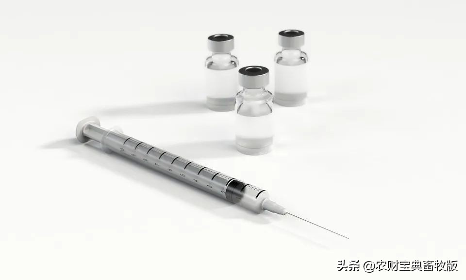 一些猪场踩雷已经没猪了！非瘟防控十大陷阱/误区，你都知道吗？‖礼蓝特约•猪业痛点​