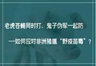 仇华吉：老虎苍蝇同时打、鬼子伪军一起防——如何应对非洲猪瘟“野疫苗毒”？