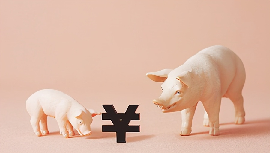 东北、华北猪价反弹！上涨信号是真是假？养殖户有发言权