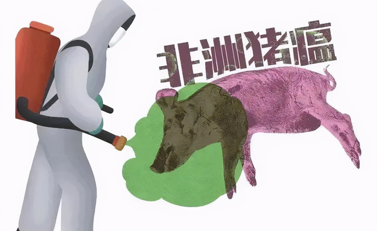 猪价大“跳水”，一头猪少赚近千元，莫慌！2021年还是铜猪年